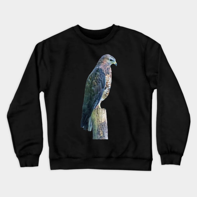 Perigrine Falcon Crewneck Sweatshirt by Lynn